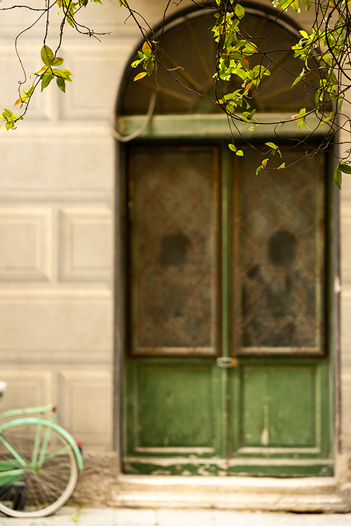 A bicycle leaning against a historic townhouse with beautiful doors