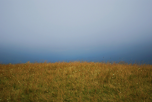 A meadow on a hill in the Polish Beskid Mountains