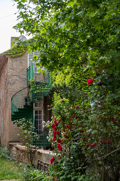 A spiral staircase leading upstairs, covered with greenery