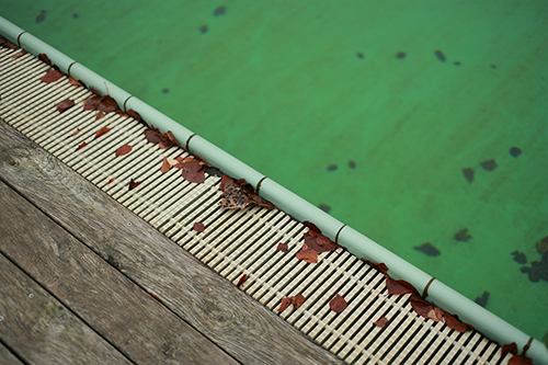 The edge of a pool in autumn speckled with leaves