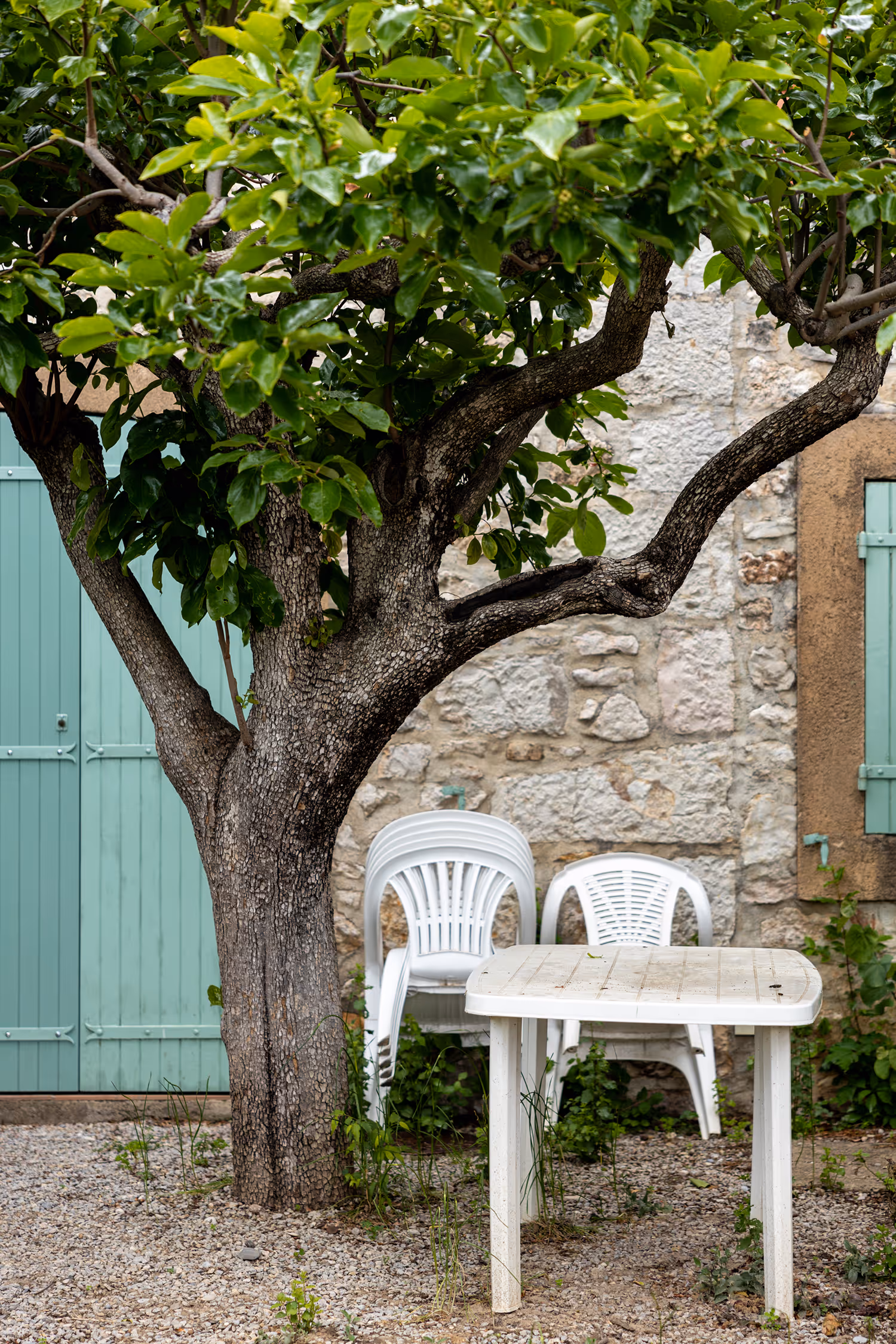 Candid lifestyle photograph in Bauduen, Provence, focusing on the rough texture of an old tree trunk and a stone wall. White plastic chairs and a table create a contrast against the rustic setting and mint-green shutters, establishing a quiet, atmospheric mood.