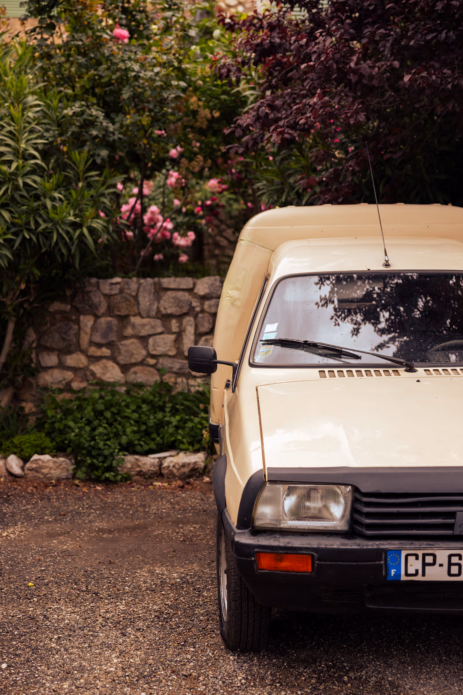Front view of a beige vintage utility van parked against a textured stone wall and lush blooming roses in Bauduen, capturing the nostalgic and slow-life atmosphere of the French countryside.