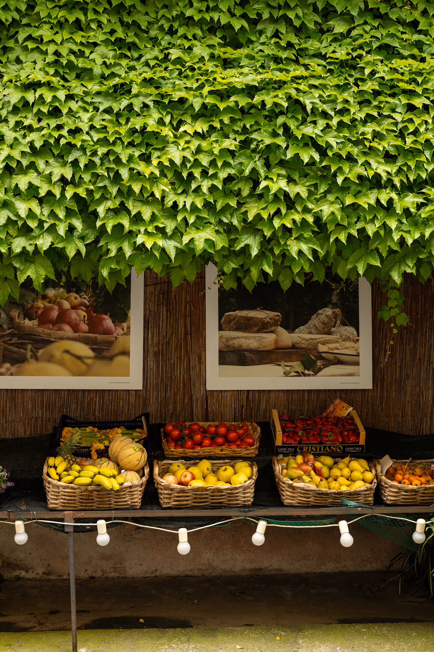 Vibrant travel photography from Finalborgo, Finale Ligure, featuring a rustic fruit stall displaying fresh produce in wicker baskets beneath a lush wall of green ivy, capturing the authentic Italian village atmosphere.