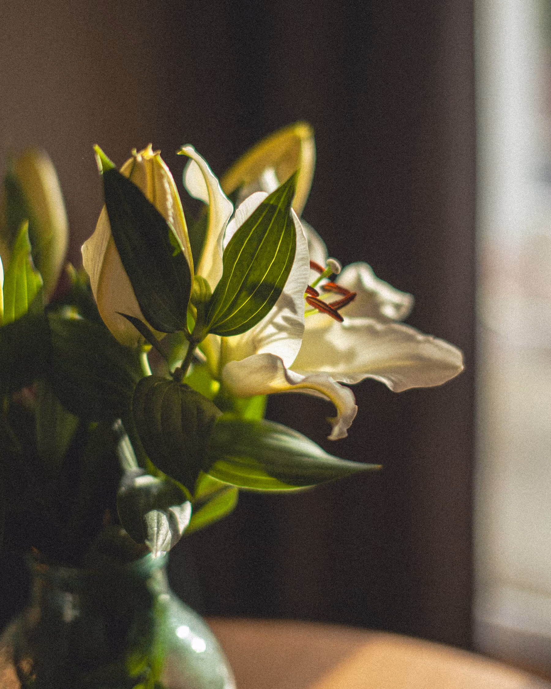 Atmospheric fine art photograph of white lilies in a green vase, dramatically lit by a ray of sunlight against a dark background, emphasizing texture and contrast for modern interior design wall art.