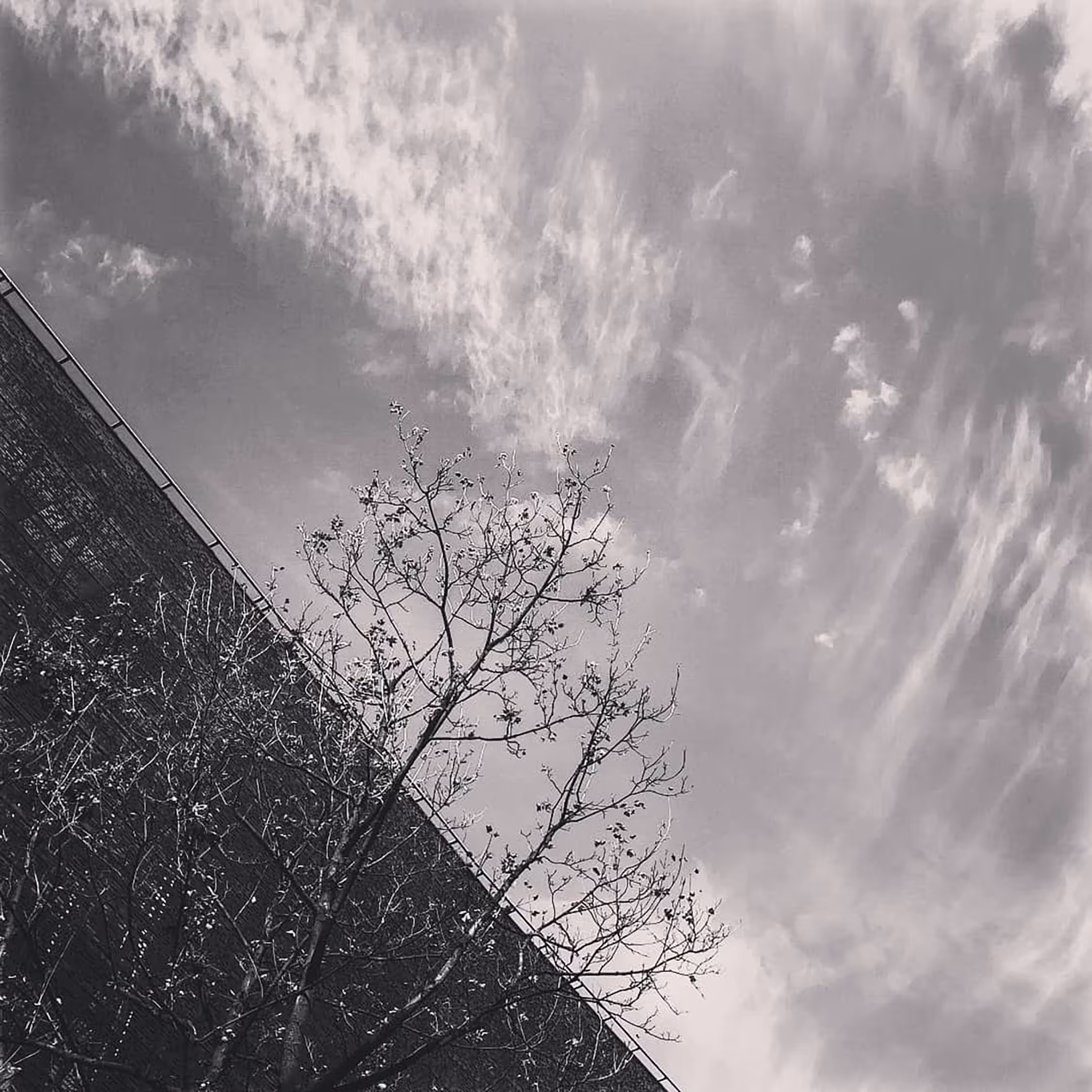A dramatic black and white urban abstract featuring a strong diagonal line created by a brick facade, contrasting with silhouetted tree branches and textured clouds in the sky.